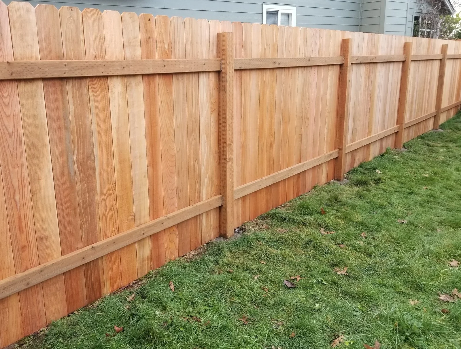 Fence Sense cedar fence